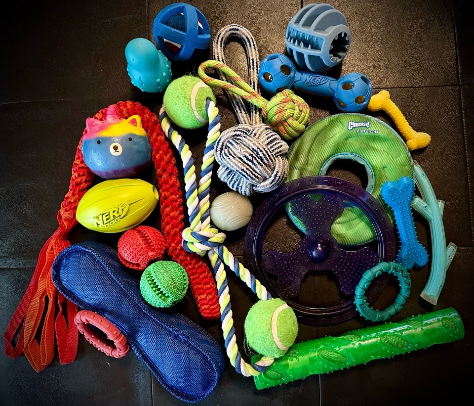 VARIETY OF DOG TOYS