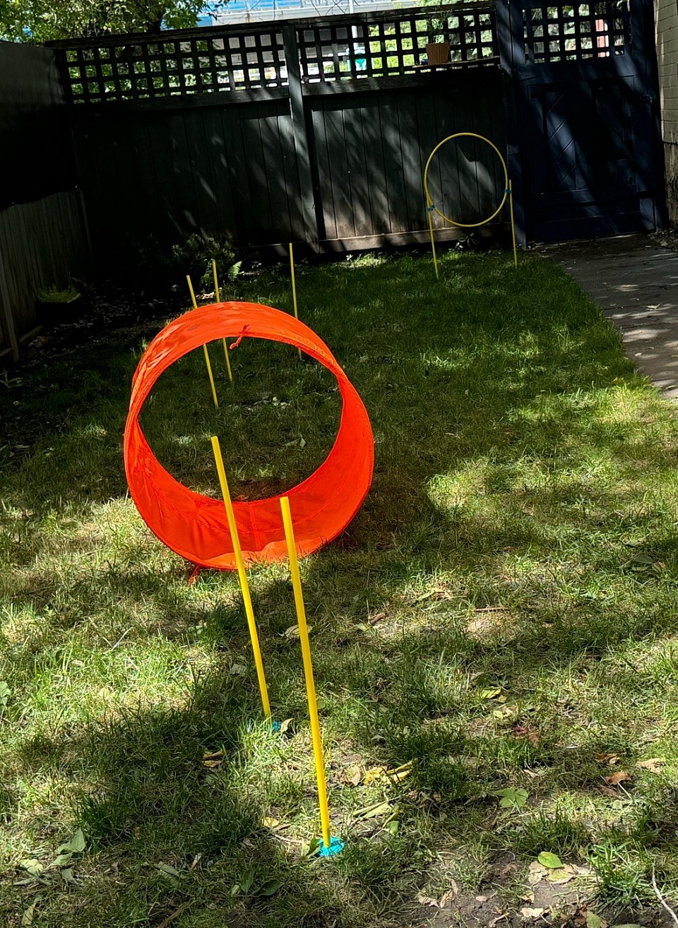 AGILITY COURSE